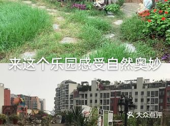 来这个乐园感受自然风情