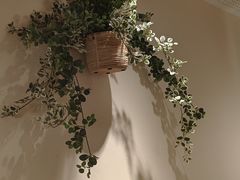 -必胜客(双榆树店)