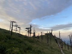 -秦岭风景区
