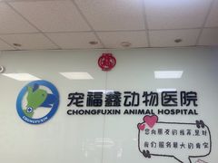 -宠福鑫动物医院(城北分院)