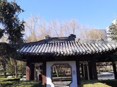-团结湖公园