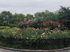 -堤角公园