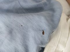 -惠州金海湾嘉华度假酒店