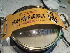 -顺德公广东猪肚鸡·煲仔饭(白石洲店)