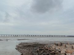 -宝安西湾红树林湿地公园