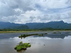 -大九湖