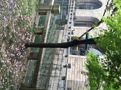 iphone_upload_pic-苏州吴宫泛太平洋酒店