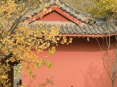 -青龙山风景区