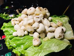 -凤园椰珍·臻品椰子鸡(保利时光里店)