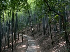 -上海佘山国家森林公园天马山园