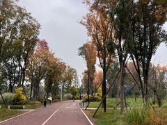 -桂溪生态公园