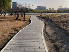 -莲花池公园