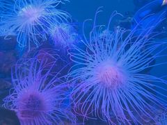 -多彩贵州城极地海洋世界