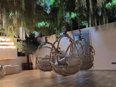 -Husky Go! 哈士奇体验馆·宠物咖啡厅狗咖