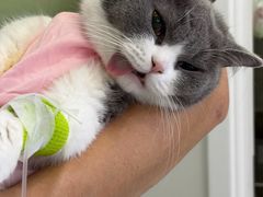 -达爱动物医院·犬猫分区·CT·复杂眼科(远洋山水分院)