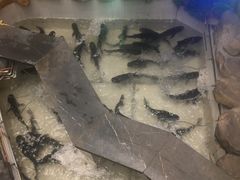 -春盛渔府(牛首山店)