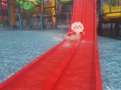 -苏州乐园森林水世界