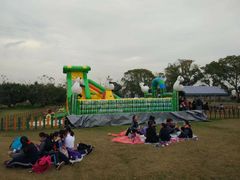 -上海长兴岛郊野公园