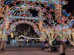 -北京龙庆四季香农家饭庄·灶台鱼·碳烤虹鳟鱼(龙庆峡店)