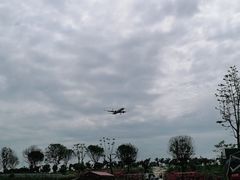 -空港花田景区
