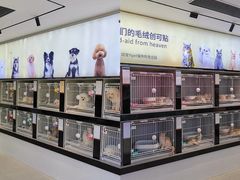 -翊宠yipet猫狗购宠庄园犬舍•猫舍