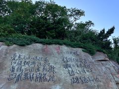 -棒棰岛宾馆景区