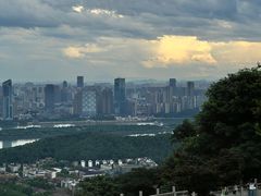 -鲍师傅糕点(国金街店)