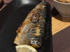 炙烤青花鱼-鸟内会居酒屋(得意潮馆店)