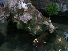 -泉乐坊步行街(烟酒特产平价超市店)