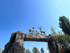 -野鸭湖国家湿地公园