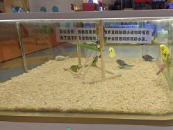 -meland亲子乐园•派对•研学(苏州悠方购物中心店)