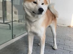 -一块儿·蛋糕定制店(吴兴店)