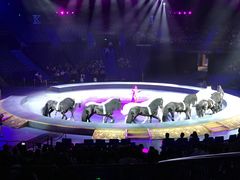 -珠海横琴长隆《卡卡虎奇遇记》