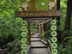 -大岭沟猕猴桃谷风景区