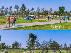 -汉长安城未央宫国家考古遗址公园