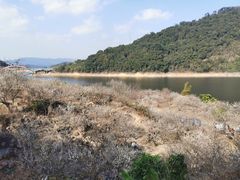 -广州市流溪河国家森林公园