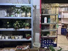 -循礼门鲜花花市(武汉循礼门店)