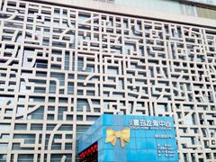 -证大喜玛拉雅中心