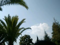 -五甲塘生态湿地公园