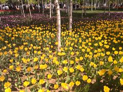 -长春公园(普阳街道)