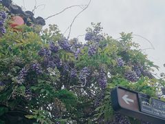 -麦当劳(无锡永乐店)
