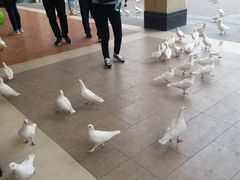 -王府井奥莱临潼小镇(临潼店)