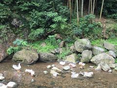 -宁波五龙潭景区