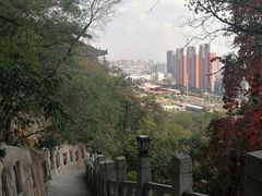 -高尔山公园