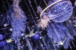 -艾米婚纱&婚礼策划