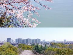 -长广溪湿地公园