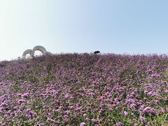 -密云玫瑰情园