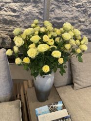 点击看大图 -VELEE·SPA高定疗愈会所