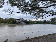 -江心屿景区