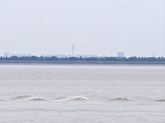 -观潮胜地公园